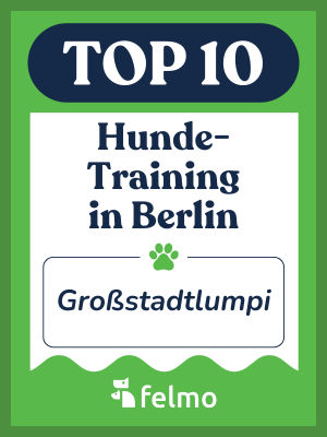 felmo TOP 10 Hundetraining in Berlin